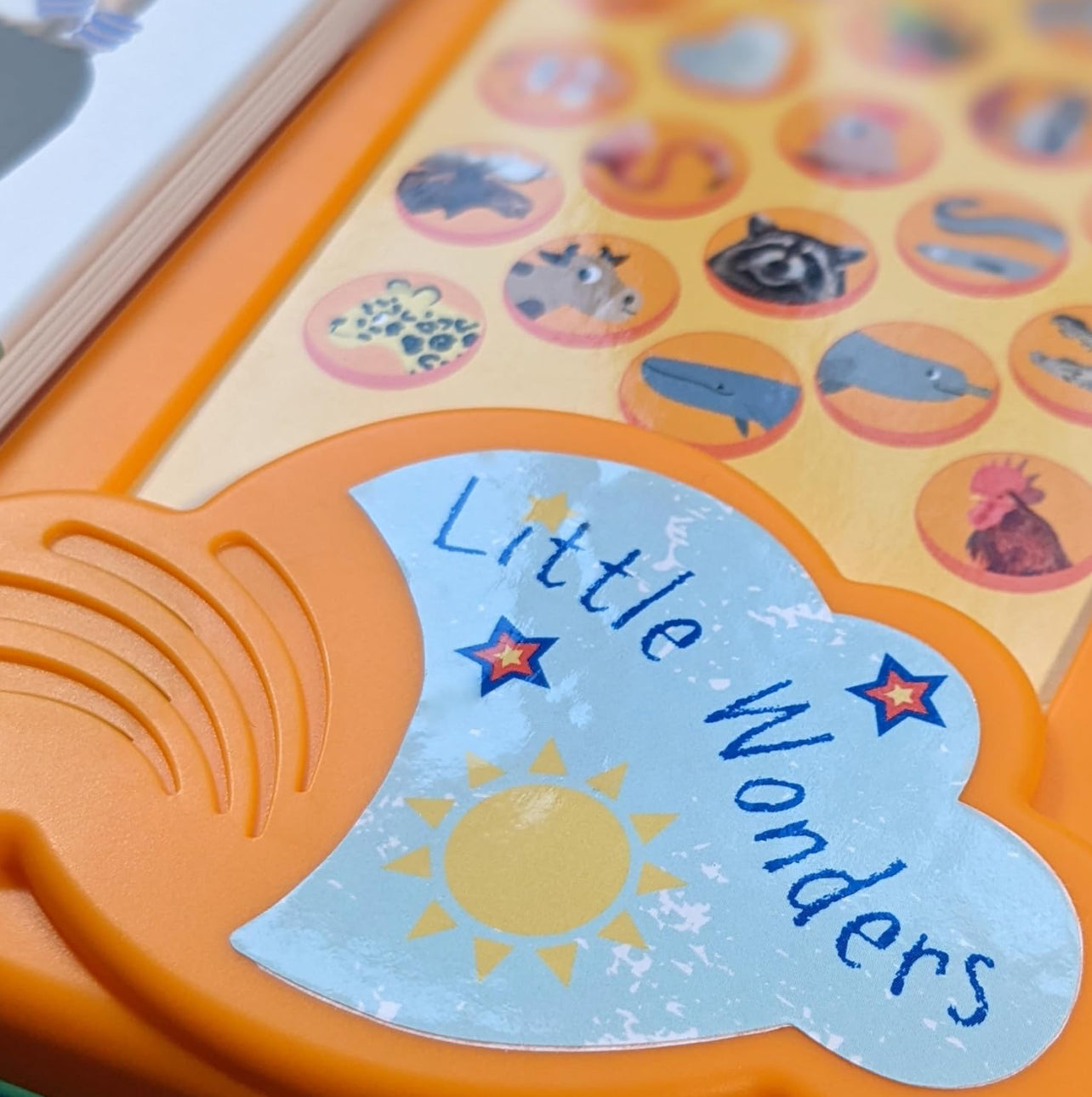 Look & Find Sound Book - Animals - For Children Aged 3+ (Little Wonders Look & Listen 50 Button Sound Book)