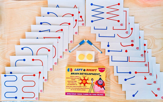๐Left and Right Brain Development Cards: ๐