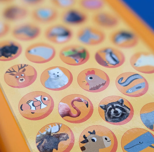 Look & Find Sound Book - Animals - For Children Aged 3+ (Little Wonders Look & Listen 50 Button Sound Book)