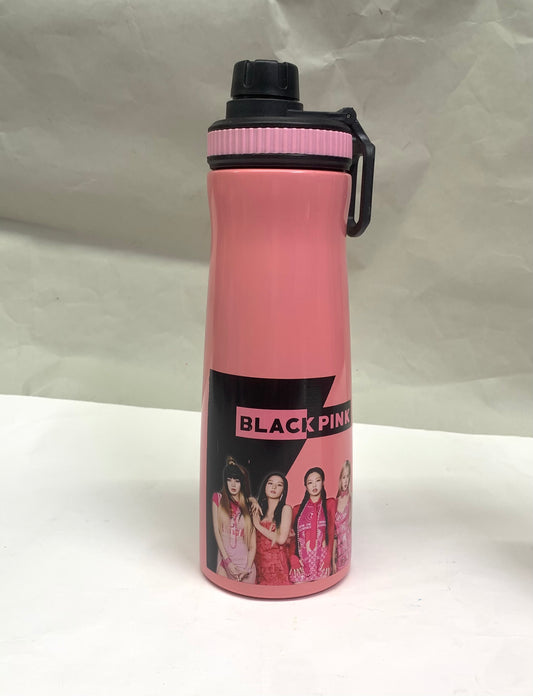 STAINLESS STEEL BOTTLES - 650ML
