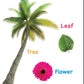 First Word: Touch and Feel Board Book for Kids - Sensory Learning for Babies | Learn First Words with Textures | Boost Basic Vocabulary for Little Scholars; 1-3 Years