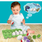 Dinosaur matching Eggs Montessori Toy 12 pcs box