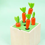 5 in 1 Wooden Toy