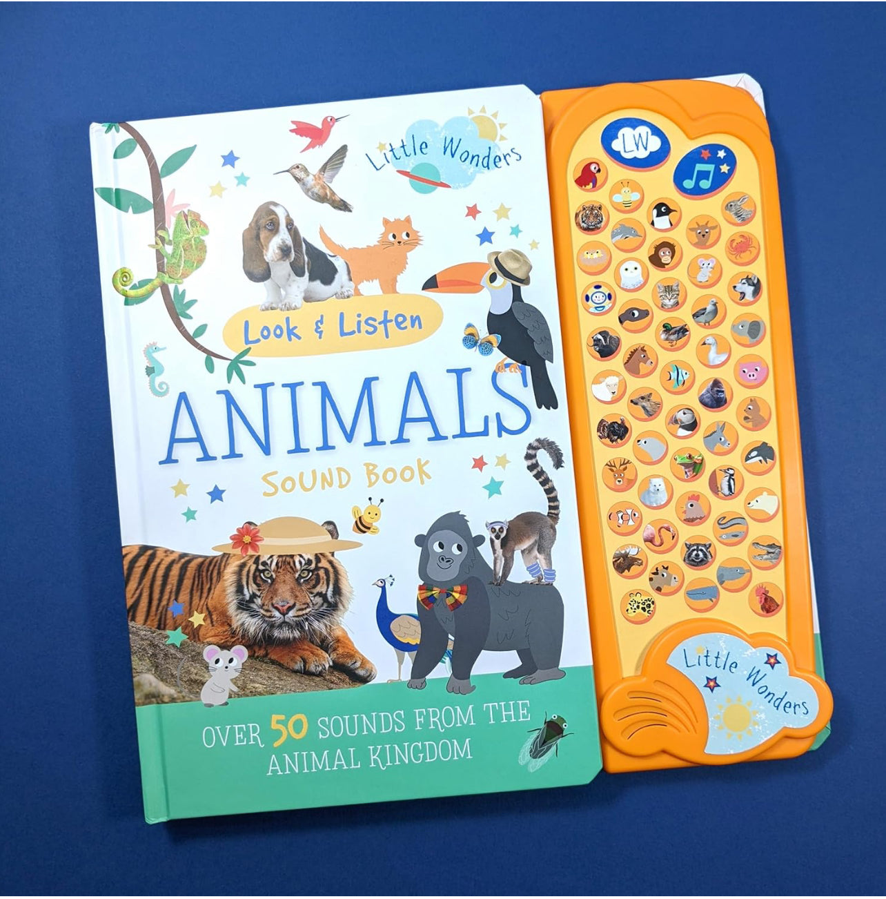 Look & Find Sound Book - Animals - For Children Aged 3+ (Little Wonders Look & Listen 50 Button Sound Book)