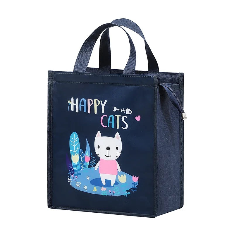 Insulated lunch bag