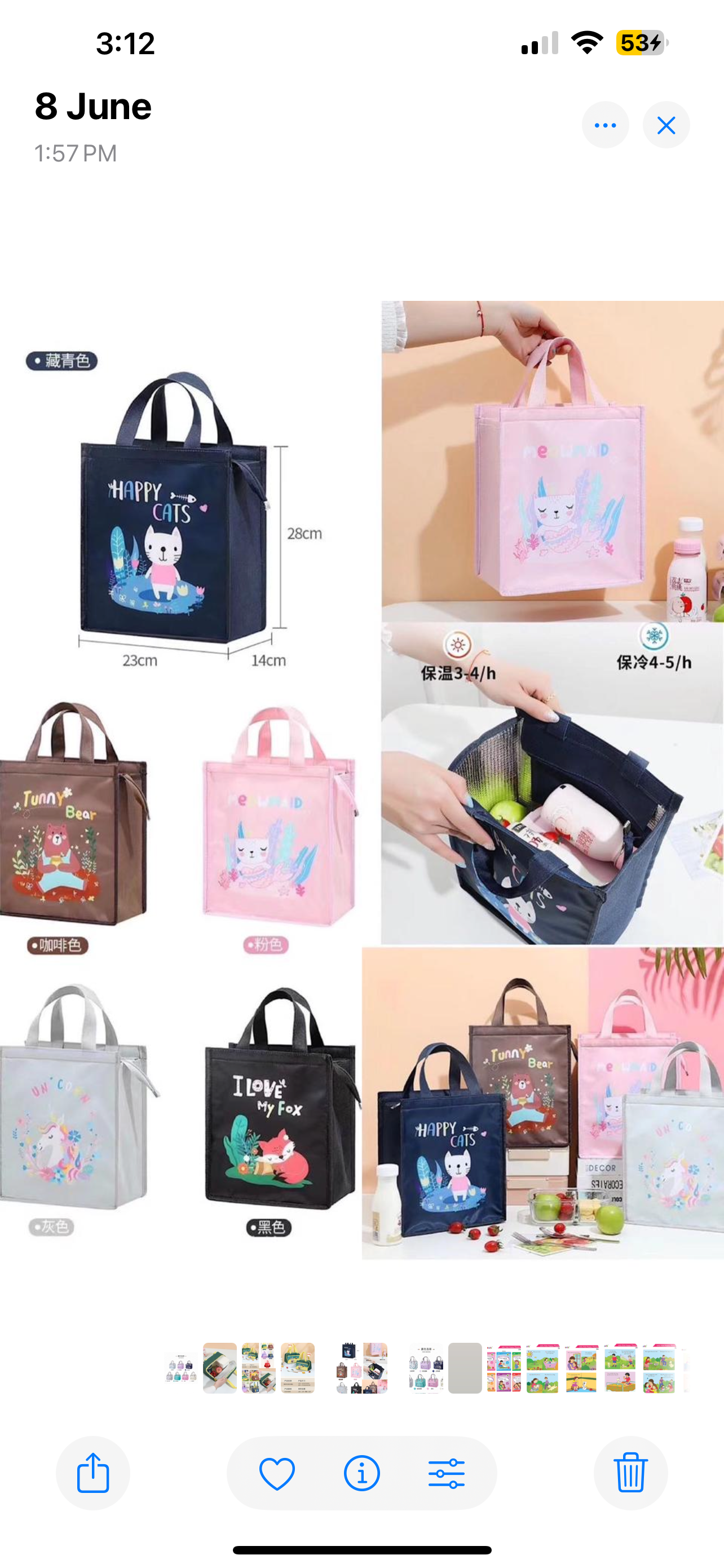 Insulated lunch bag