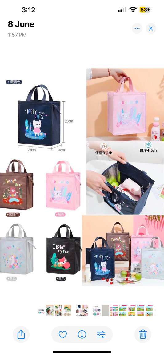 Insulated lunch bag