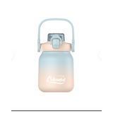 2 in 1 Hot & Cold Steel Bottle