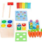 5 in 1 Wooden Toy