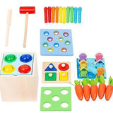 5 in 1 Wooden Toy