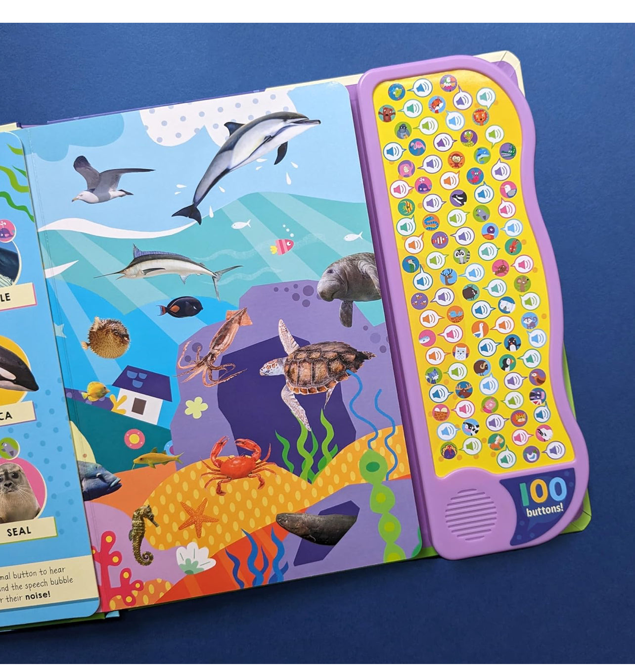 100 Button Look & Find Animal Words & Sounds [Hardcover]