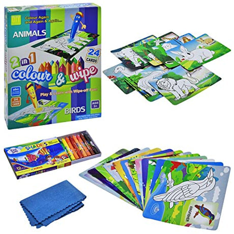 2 in 1 Color and Wipe Off, Learning Painting Kit for Kids