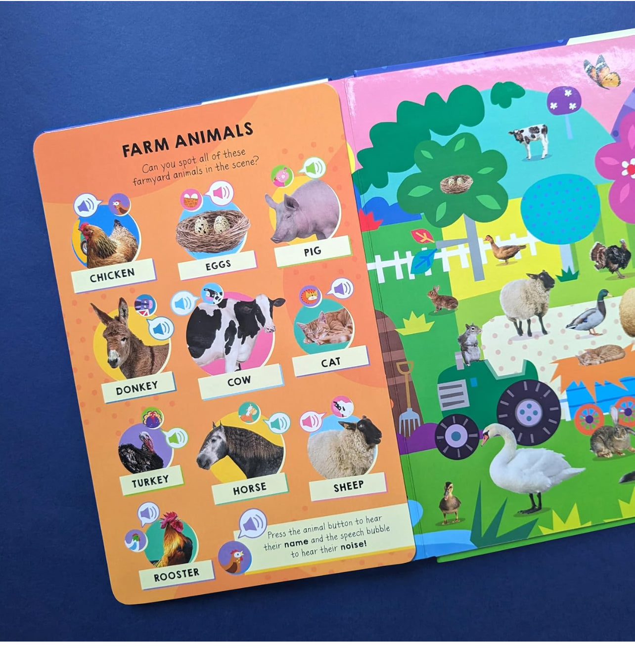 100 Button Look & Find Animal Words & Sounds [Hardcover]