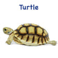 Board Book: Touch And Feel Ocean World