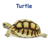 Board Book: Touch And Feel Ocean World