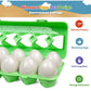 Dinosaur matching Eggs Montessori Toy 12 pcs box