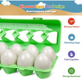 Dinosaur matching Eggs Montessori Toy 12 pcs box