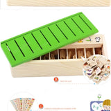 Knowledge Classification Box (Numbers, Shapes, Vehicles, Vegetables, Animals and Fruits)