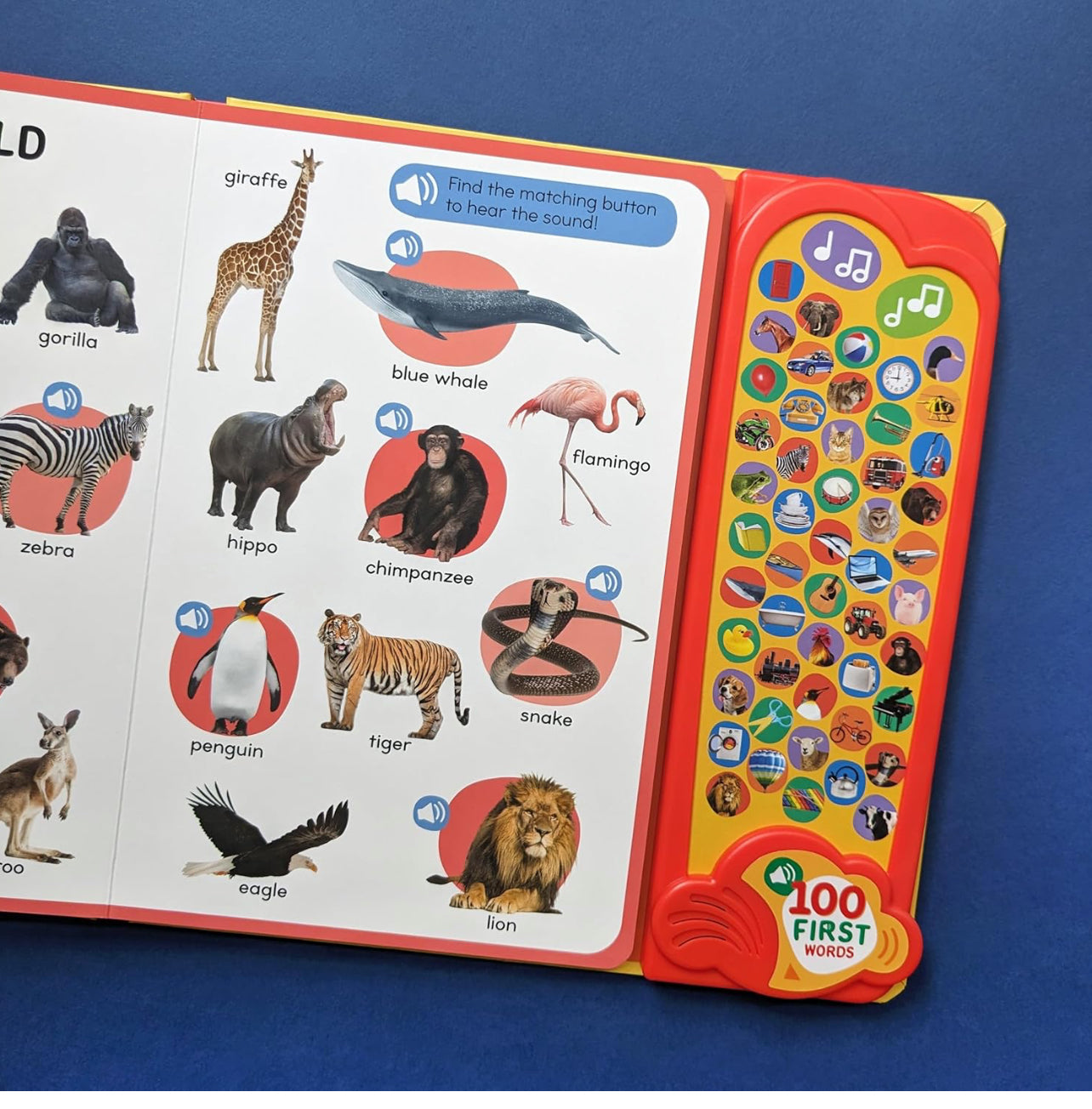 100 First Words: A Listen and Learn Sound Book!
