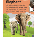 Roar in the Jungle Sound Book
