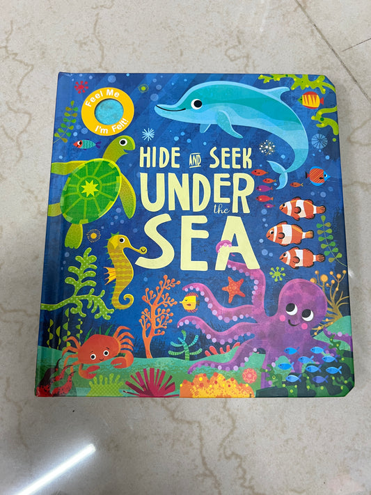 Hide and Seek Touch & Feel Lift the Flap (board book)