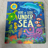 Hide and Seek Touch & Feel Lift the Flap (board book)