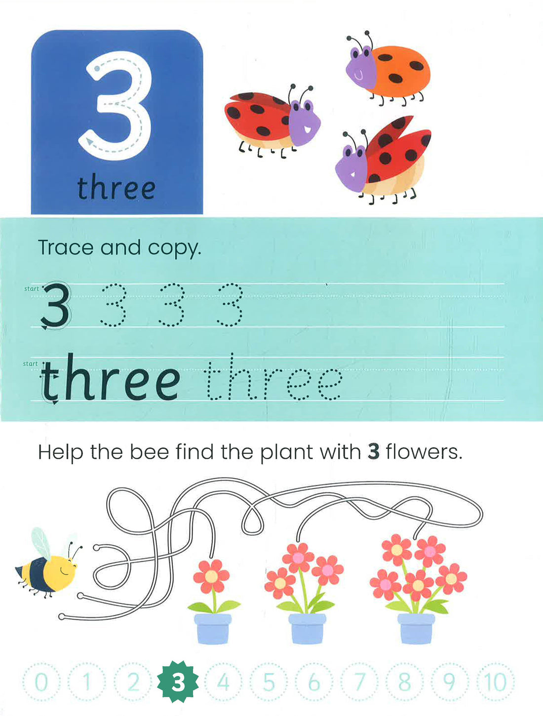 Junior Explorers Write And Wipe: Counting Book