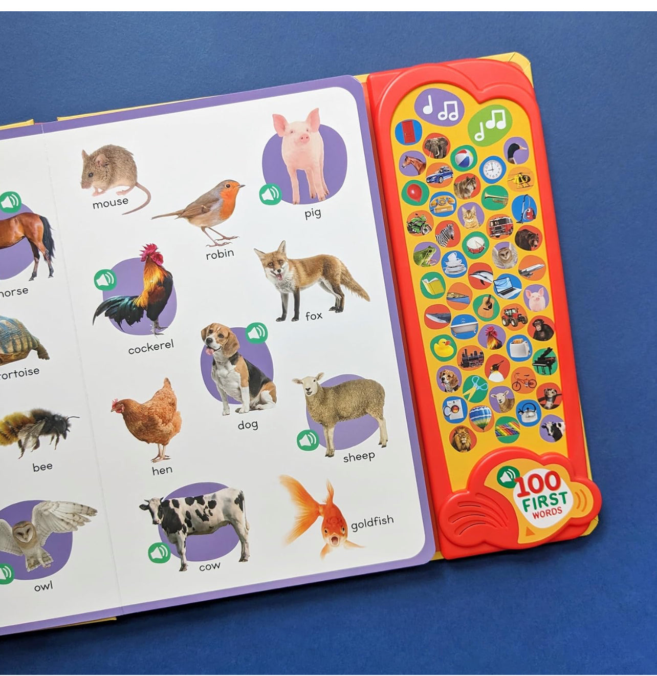 100 First Words: A Listen and Learn Sound Book!