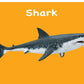 Board Book: Touch And Feel Ocean World