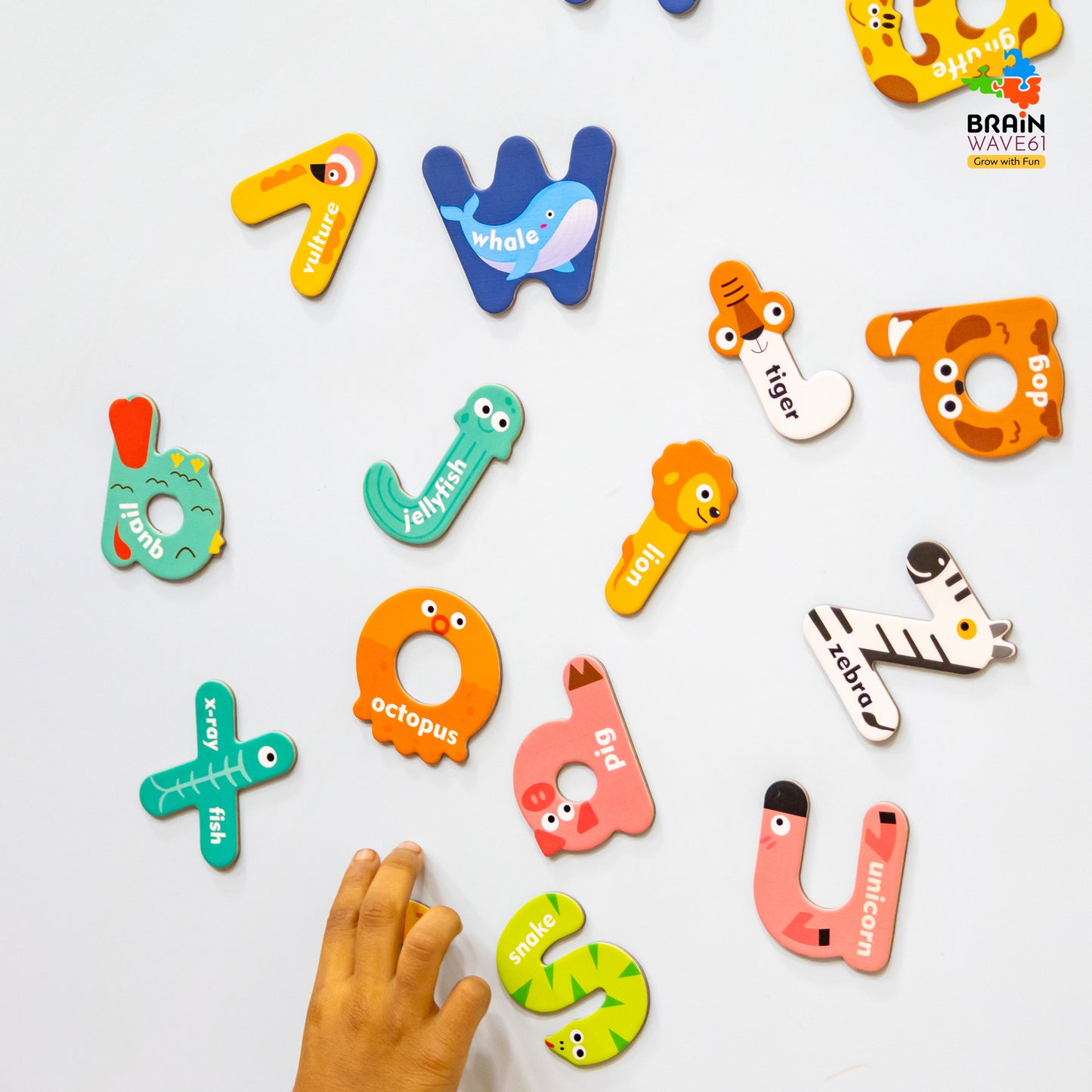 Magnetic animal alphabet
