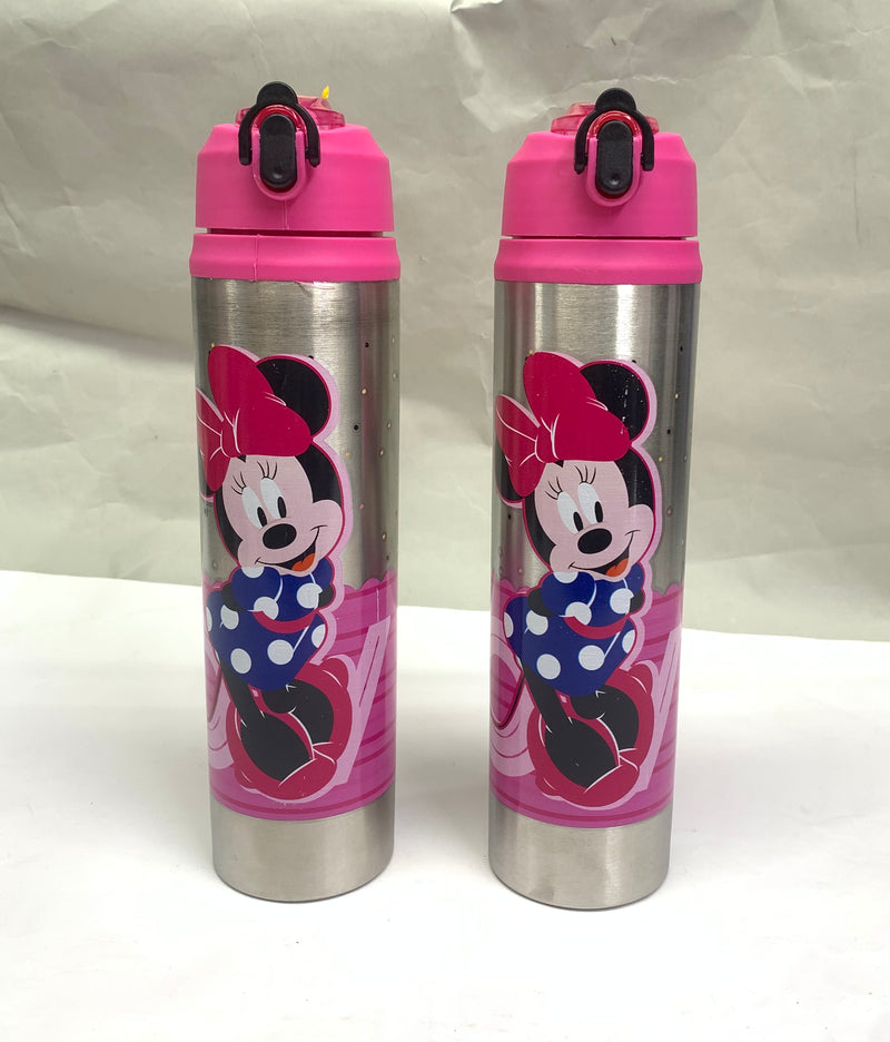 STAINLESS STEEL BOTTLE - 550ML