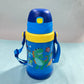 550 ml insulated bottle
