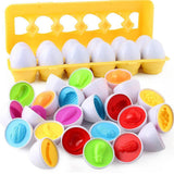 Fruit and Vegetables Matching Egg