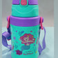 550 ml insulated bottle